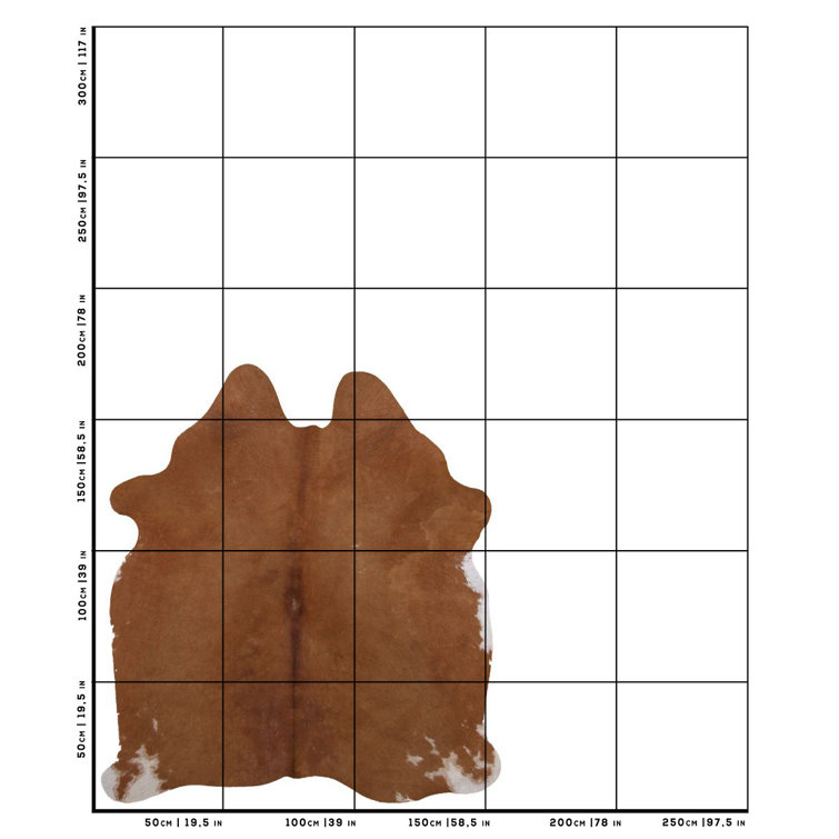 Union Rustic Dubbo Leather Animal Print Rug Wayfair Canada